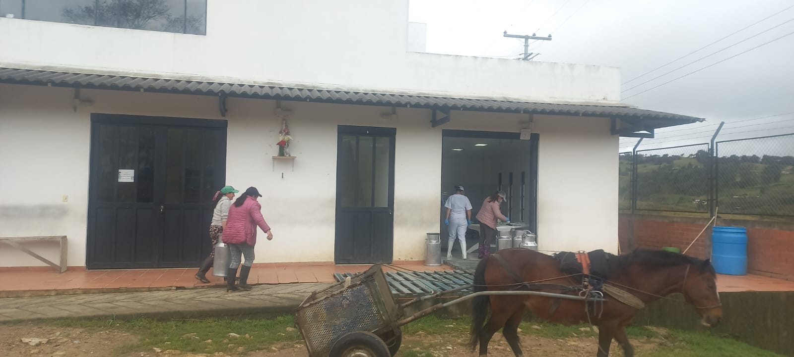 Galería 8